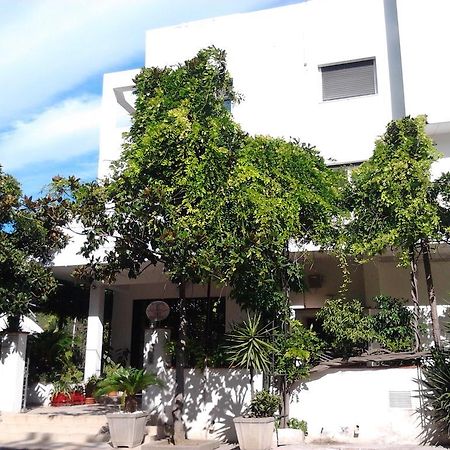 Hotel Calla' Policoro Exterior foto