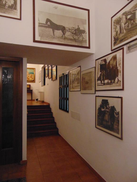 Hotel Calla' Policoro Exterior foto